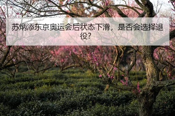 su-bing-tian-dong-jing-ao-yun-hui-hou-zhuang-tai-xia-hua-shi-fou-hui-xuan-ze-tui-yi-2-138.jpg